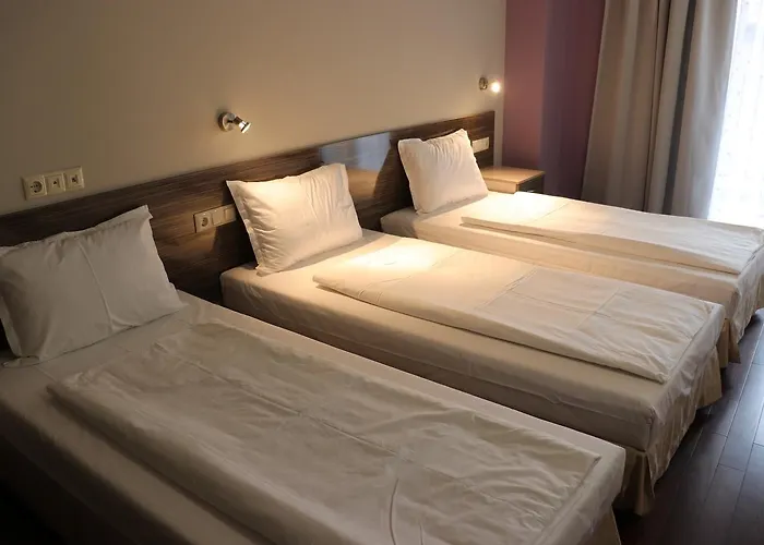 酒店 Roots And Wine Bar