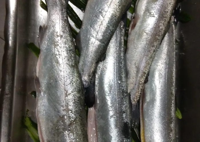 Roots And Wine Bar Plovdiv